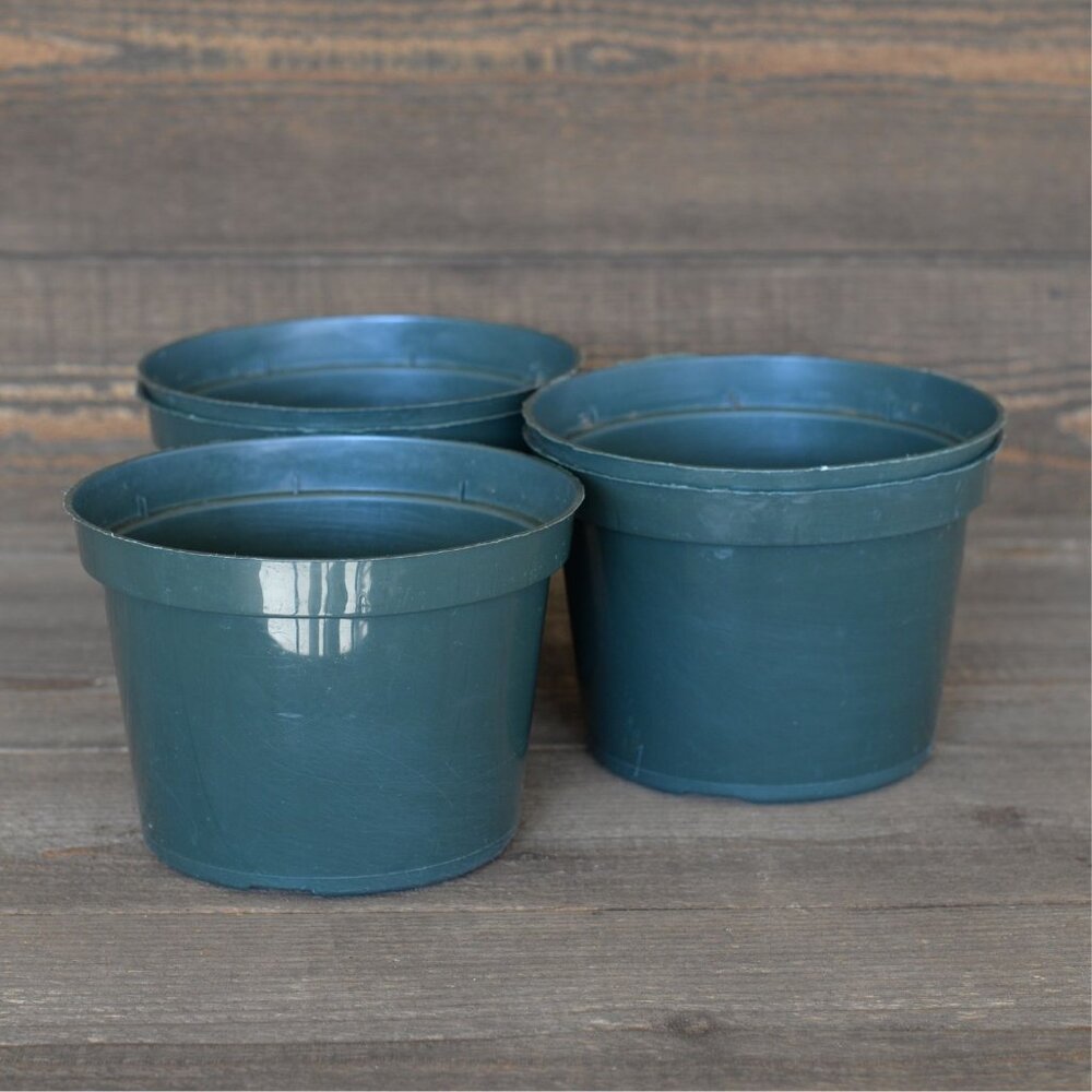 Set of 12 - 6” Green Nursery Pots | Clean Reusable Grower Pots w/ Drainage